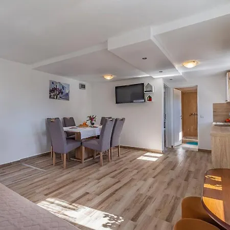 House Palmera With Swimming Pool And A Large Terrace Villa Medulin
