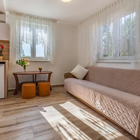 House Palmera With Swimming Pool And A Large Terrace * Medulin